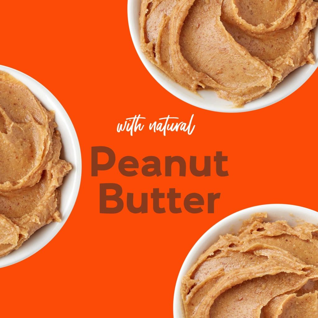 Grain Free Oven Baked Treats: Peanut Butter - Buddy Biscuit