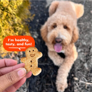 Buddy Biscuits Crunchy Medium Dog Treats: Peanut Butter - Image 4