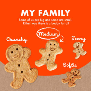Buddy Biscuits Crunchy Medium Dog Treats: Peanut Butter - Image 8